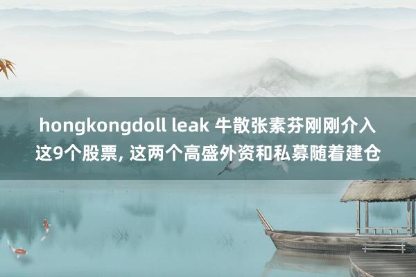 hongkongdoll leak 牛散张素芬刚刚介入这9个股票， 这两个高盛外资和私募随着建仓