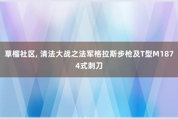 草榴社区， 清法大战之法军格拉斯步枪及T型M1874式刺刀