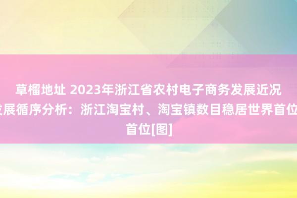 草榴地址 2023年浙江省农村电子商务发展近况及发展循序分析：浙江淘宝村、淘宝镇数目稳居世界首位[图]