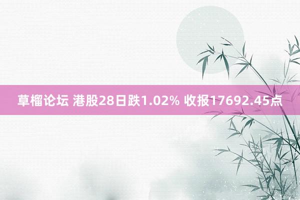 草榴论坛 港股28日跌1.02% 收报17692.45点