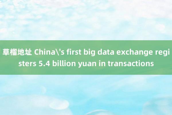 草榴地址 China's first big data exchange registers 5.4 billion yuan in transactions