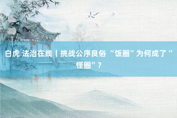 白虎 法治在线丨挑战公序良俗 “饭圈”为何成了“怪圈”？