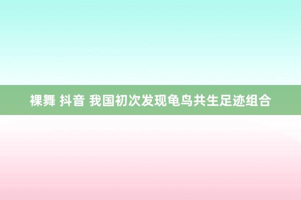 裸舞 抖音 我国初次发现龟鸟共生足迹组合