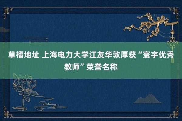 草榴地址 上海电力大学江友华敦厚获“寰宇优秀教师”荣誉名称