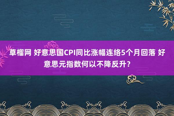 草榴网 好意思国CPI同比涨幅连络5个月回落 好意思元指数何以不降反升？