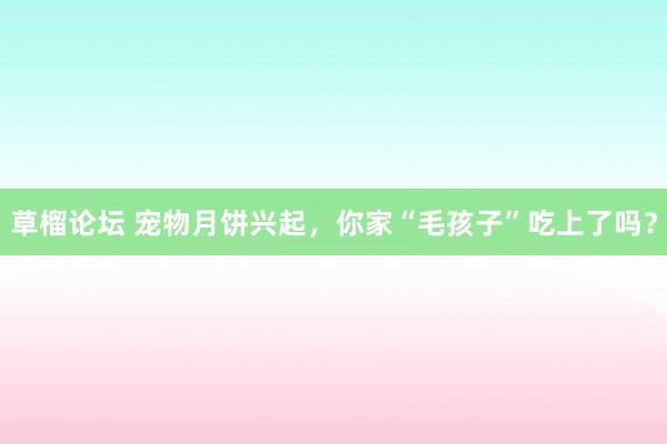 草榴论坛 宠物月饼兴起，你家“毛孩子”吃上了吗？