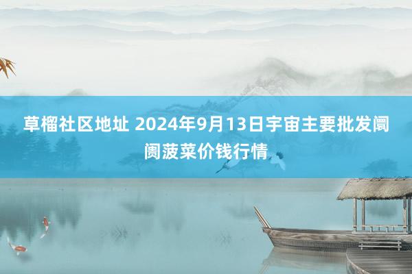 草榴社区地址 2024年9月13日宇宙主要批发阛阓菠菜价钱行情