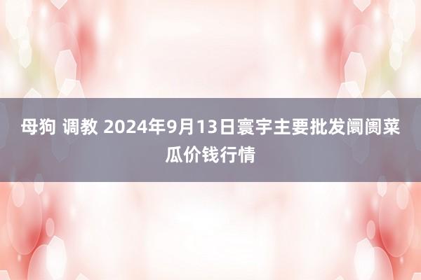 母狗 调教 2024年9月13日寰宇主要批发阛阓菜瓜价钱行情