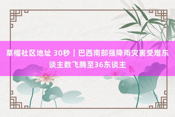 草榴社区地址 30秒｜巴西南部强降雨灾害受难东谈主数飞腾至36东谈主