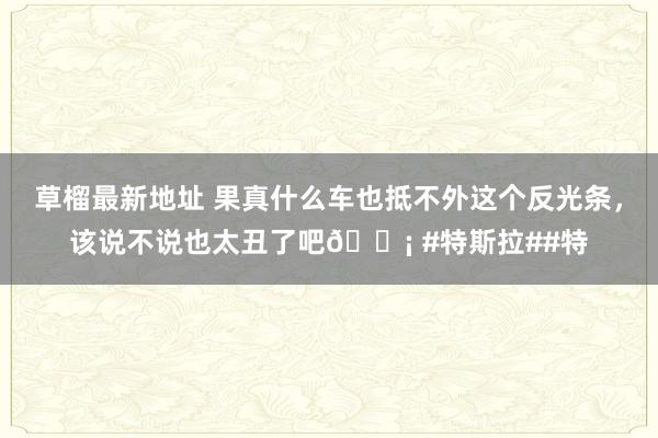 草榴最新地址 果真什么车也抵不外这个反光条，该说不说也太丑了吧😡 #特斯拉##特