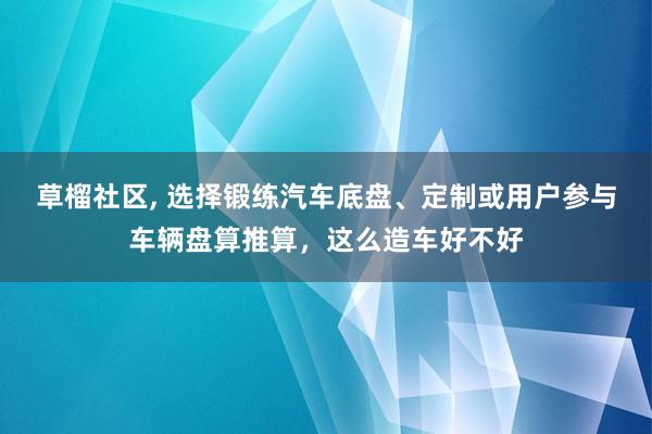 草榴社区， 选择锻练汽车底盘、定制或用户参与车辆盘算推算，这么造车好不好