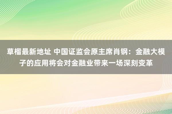 草榴最新地址 中国证监会原主席肖钢：金融大模子的应用将会对金融业带来一场深刻变革