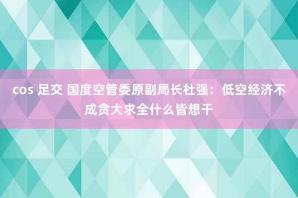 cos 足交 国度空管委原副局长杜强：低空经济不成贪大求全什么皆想干