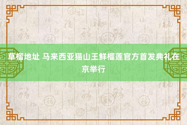 草榴地址 马来西亚猫山王鲜榴莲官方首发典礼在京举行