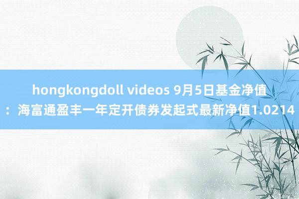 hongkongdoll videos 9月5日基金净值：海富通盈丰一年定开债券发起式最新净值1.0214