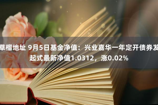 草榴地址 9月5日基金净值：兴业嘉华一年定开债券发起式最新净值1.0312，涨0.02%