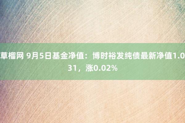 草榴网 9月5日基金净值：博时裕发纯债最新净值1.031，涨0.02%