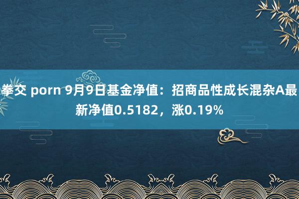 拳交 porn 9月9日基金净值：招商品性成长混杂A最新净值0.5182，涨0.19%