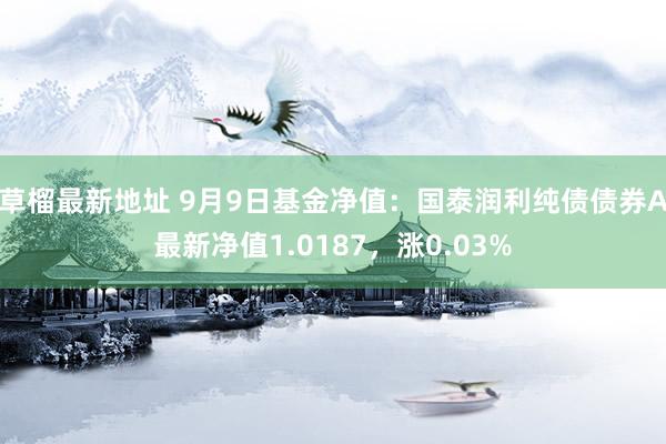 草榴最新地址 9月9日基金净值：国泰润利纯债债券A最新净值1.0187，涨0.03%