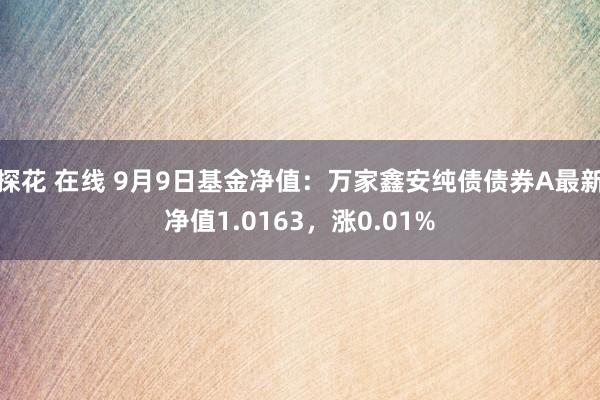 探花 在线 9月9日基金净值：万家鑫安纯债债券A最新净值1.0163，涨0.01%