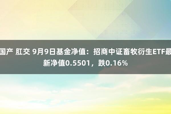 国产 肛交 9月9日基金净值：招商中证畜牧衍生ETF最新净值0.5501，跌0.16%