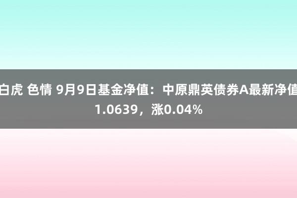 白虎 色情 9月9日基金净值：中原鼎英债券A最新净值1.0639，涨0.04%