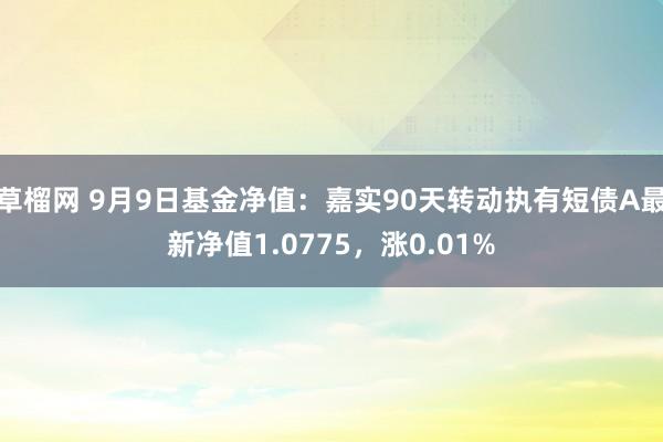 草榴网 9月9日基金净值：嘉实90天转动执有短债A最新净值1.0775，涨0.01%