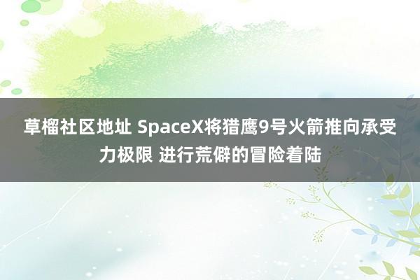 草榴社区地址 SpaceX将猎鹰9号火箭推向承受力极限 进行荒僻的冒险着陆