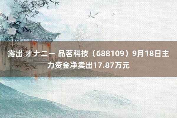 露出 オナニー 品茗科技（688109）9月18日主力资金净卖出17.87万元