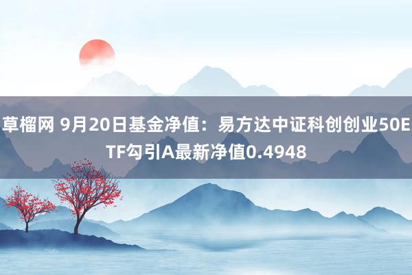 草榴网 9月20日基金净值：易方达中证科创创业50ETF勾引A最新净值0.4948