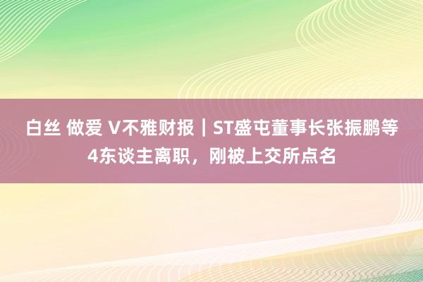 白丝 做爱 V不雅财报｜ST盛屯董事长张振鹏等4东谈主离职，刚被上交所点名