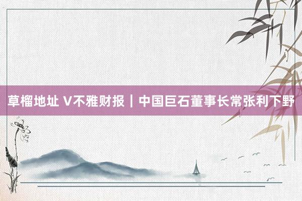 草榴地址 V不雅财报｜中国巨石董事长常张利下野