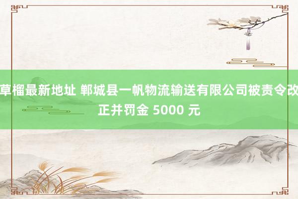 草榴最新地址 郸城县一帆物流输送有限公司被责令改正并罚金 5000 元