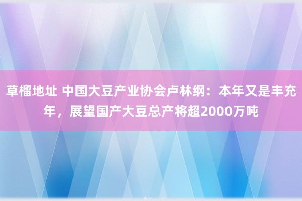 草榴地址 中国大豆产业协会卢林纲：本年又是丰充年，展望国产大豆总产将超2000万吨