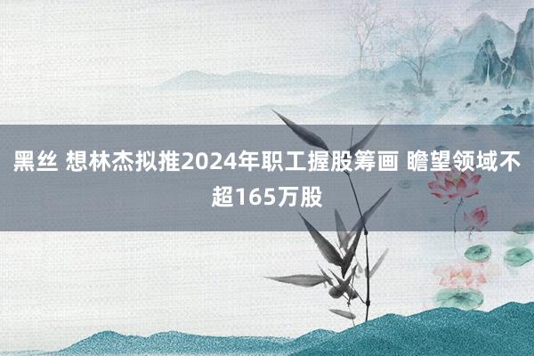 黑丝 想林杰拟推2024年职工握股筹画 瞻望领域不超165万股