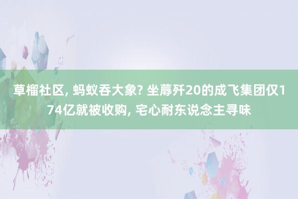 草榴社区， 蚂蚁吞大象? 坐蓐歼20的成飞集团仅174亿就被收购， 宅心耐东说念主寻味