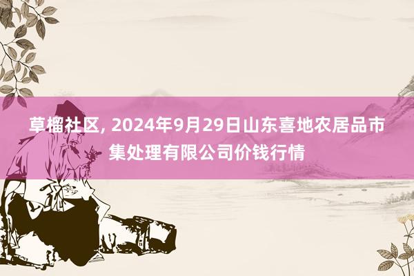 草榴社区， 2024年9月29日山东喜地农居品市集处理有限公司价钱行情