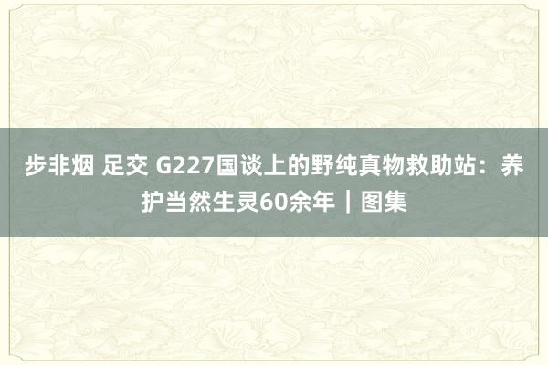 步非烟 足交 G227国谈上的野纯真物救助站：养护当然生灵60余年｜图集