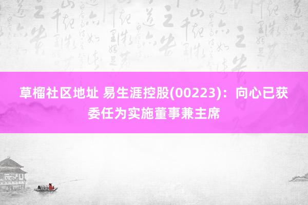 草榴社区地址 易生涯控股(00223)：向心已获委任为实施董事兼主席