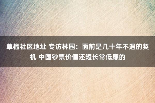 草榴社区地址 专访林园：面前是几十年不遇的契机 中国钞票价值还短长常低廉的