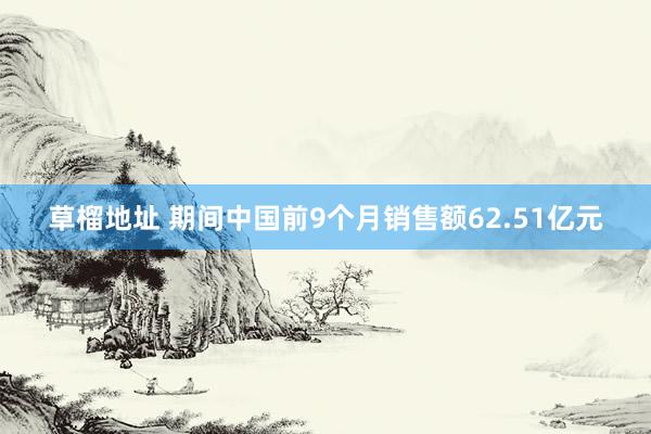 草榴地址 期间中国前9个月销售额62.51亿元