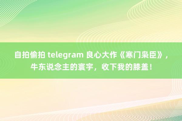 自拍偷拍 telegram 良心大作《寒门枭臣》，牛东说念主的寰宇，收下我的膝盖！