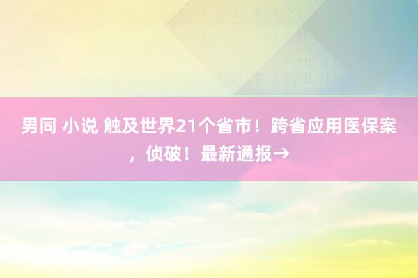 男同 小说 触及世界21个省市！跨省应用医保案，侦破！最新通报→