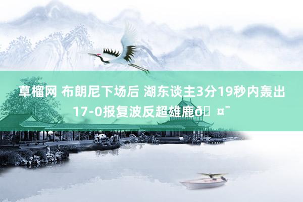 草榴网 布朗尼下场后 湖东谈主3分19秒内轰出17-0报复波反超雄鹿🤯