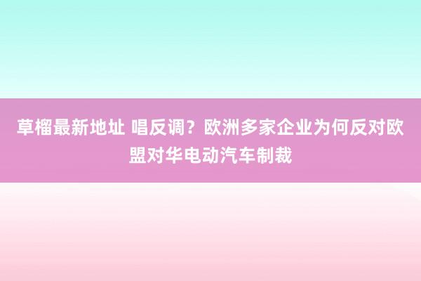 草榴最新地址 唱反调？欧洲多家企业为何反对欧盟对华电动汽车制裁