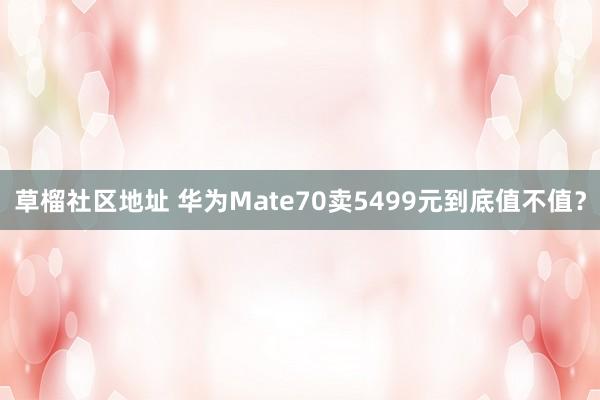 草榴社区地址 华为Mate70卖5499元到底值不值？