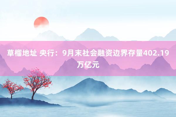 草榴地址 央行：9月末社会融资边界存量402.19万亿元