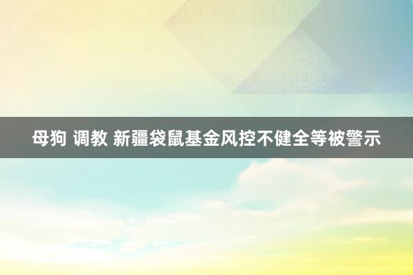 母狗 调教 新疆袋鼠基金风控不健全等被警示