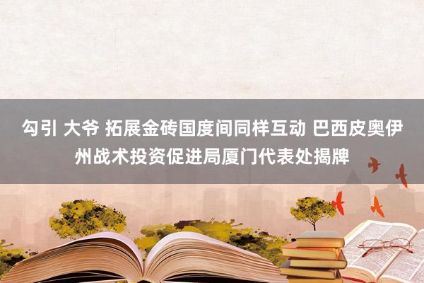 勾引 大爷 拓展金砖国度间同样互动 巴西皮奥伊州战术投资促进局厦门代表处揭牌