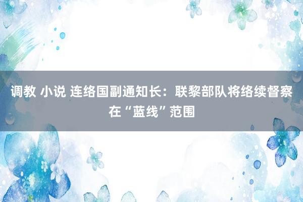 调教 小说 连络国副通知长：联黎部队将络续督察在“蓝线”范围